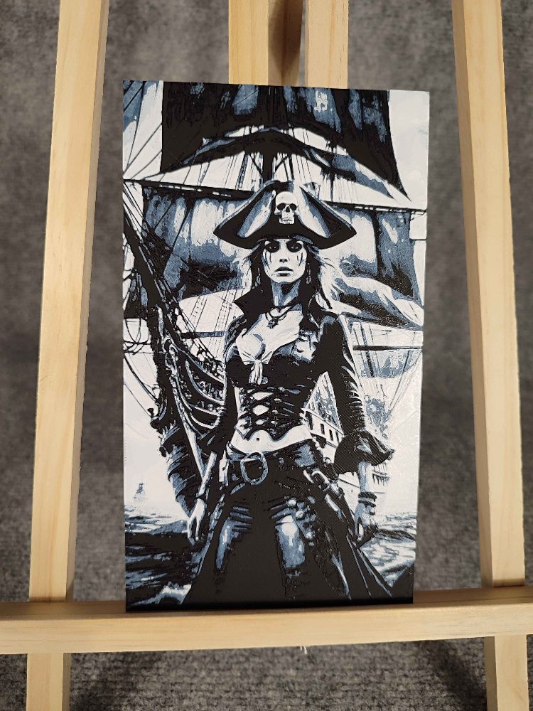 Sans marque Tableau 3D "Pirate des Mers" – Art Mural Collector