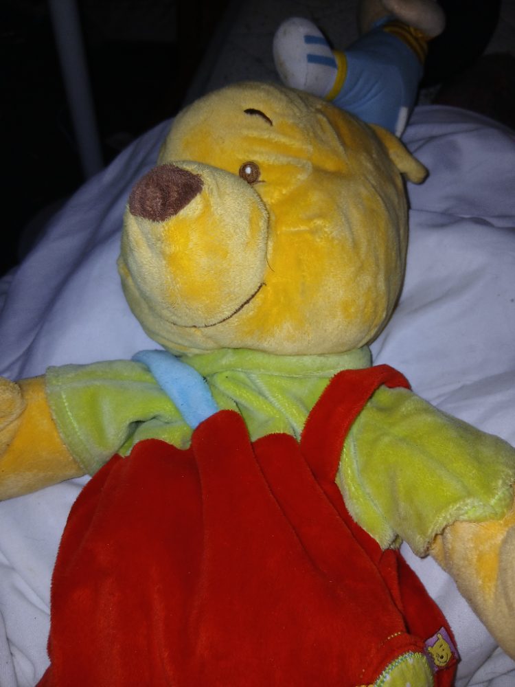 Disney Peluche Winnie l'Ourson avec vêtements