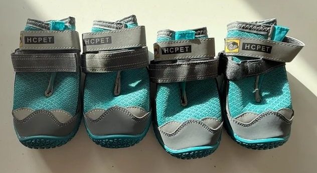 Sans marque Chaussures pour chien