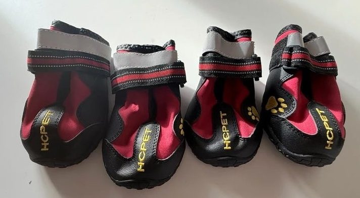 Sans marque Chaussures pour chien