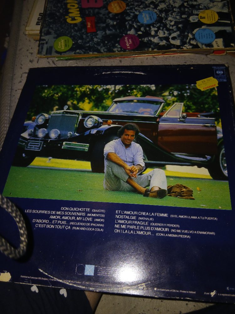 Julio Iglesias Lot 2 vinyles Julio Iglesias