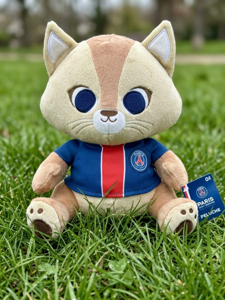 Paris Saint-Germain Peluche 25cm PSG / Paris Saint Germain / neuf 19€