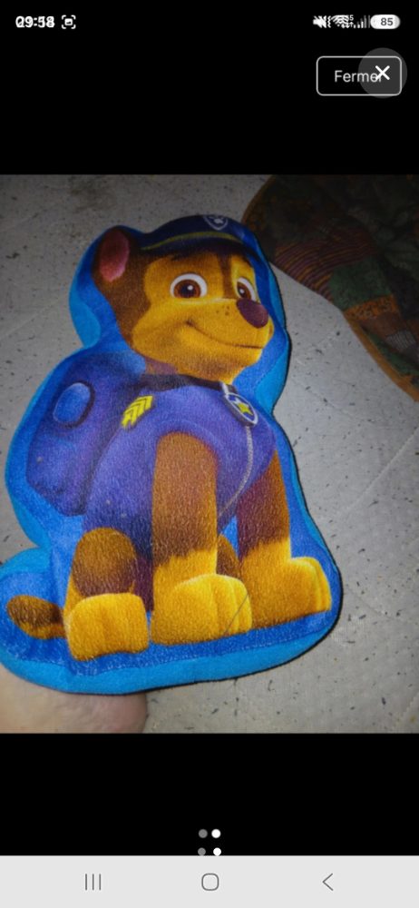 Cosussin Coussin pat patrouille